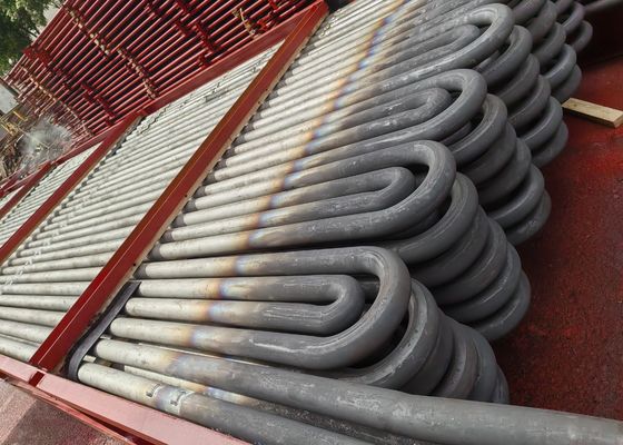 ASTM A249 koolstofstaal serpentine spoel / slang buis in boiler herverwarmer