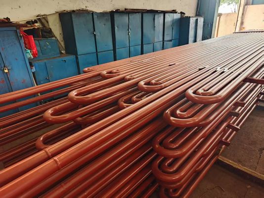 Aanpasbare serpentine-warmtewisselaars voor afvalwarmteboilers