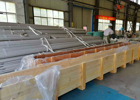 Astma213 Naadloze Roestvrije Buis/Naadloze Roestvrij staalpijp 38.1mm - 101.6mm