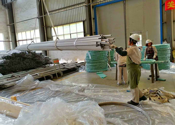 Roestvrij Buizenstelsel 10*0.65*6000mm van TP316L ASTM A269 ASME SA269 Onthard Helder