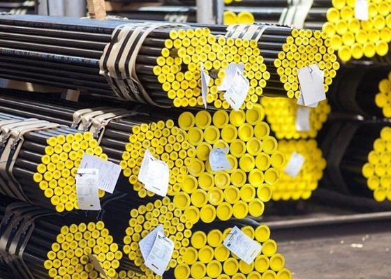 Het Inleggen van ASME SS316L Ontharde Naadloze de Buizen Duidelijke Einden van de Boilerbank