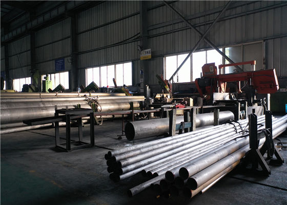 0.4mm ASTM A789 en10216-5 Naadloos Roestvrij staalbuizenstelsel