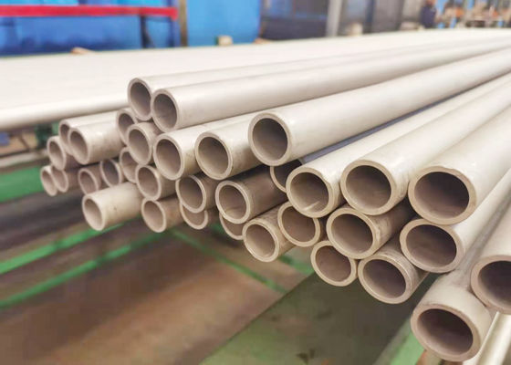6mm Secundaire Oververhitterss 304 Naadloze buis voor Afvalverbrandingsoven MSWI