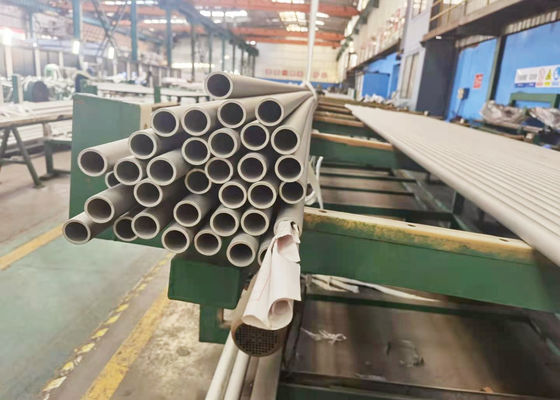 6mm Secundaire Oververhitterss 304 Naadloze buis voor Afvalverbrandingsoven MSWI
