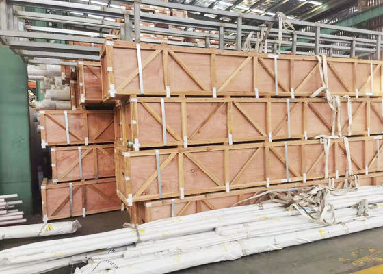 BoilerWarmtewisselaar TP310S/TP310H-Ss Naadloze buis