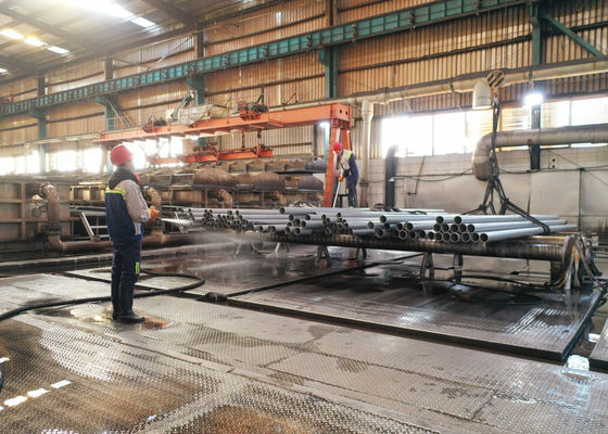 Naadloze het Roestvrije staalbuis van ASTM A213 TP316L voor Boilerdelen