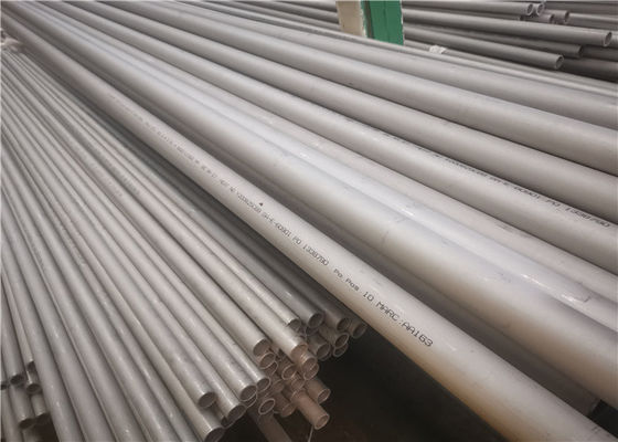 OD 6mm ASTM 269 de Naadloze Roestvrije Buis van TP317