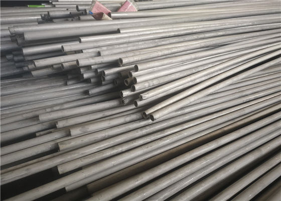 OD 6mm ASTM 269 de Naadloze Roestvrije Buis van TP317