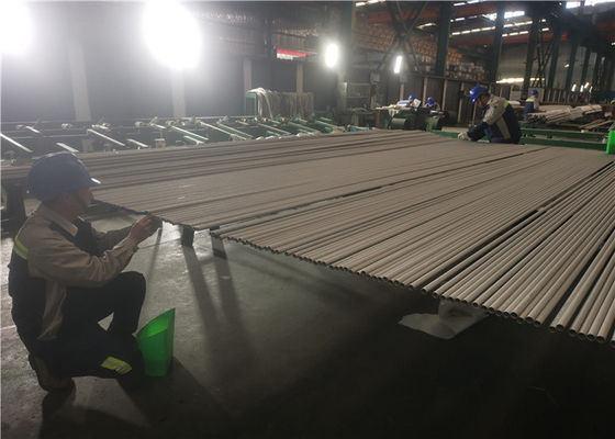 OD 6mm ASTM 269 de Naadloze Roestvrije Buis van TP317