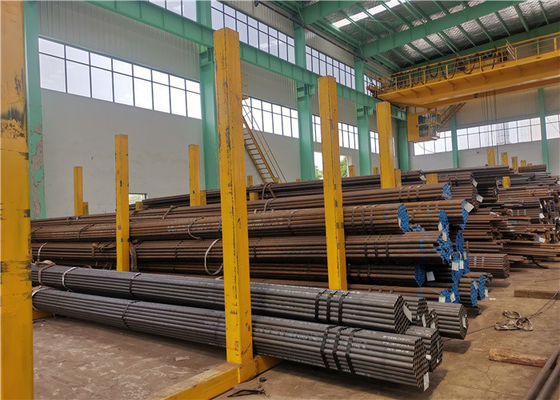 Drogen de Naadloze de Boilerbuizen van ASME SA213 API Stainless Steel Met een laag bedekte Vernis