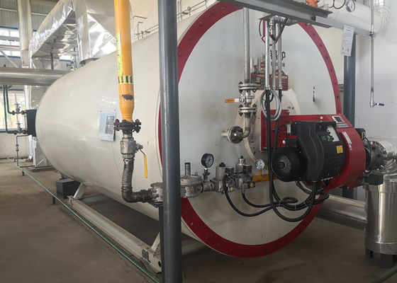 YYL-Type ASME Horizontale de Boiler van het Oliegas het Aanhalen Buisregeling